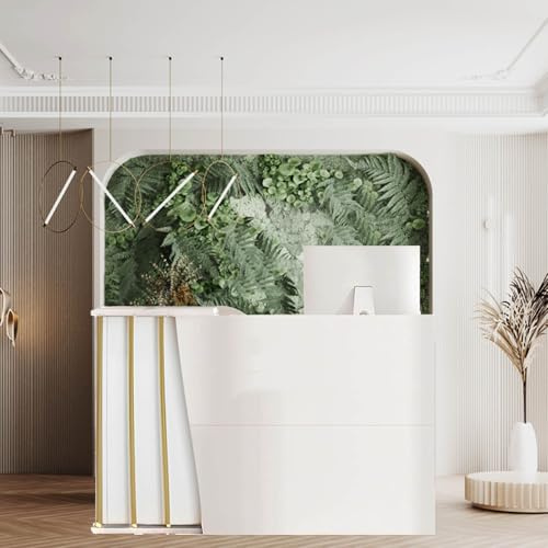 Yadlan Mostrador De RecepcióN Moderno, Mostrador para Tienda De Alimentacion, Mesas De RecepcióN De Oficina, Gama Alta Mueble RecepcióN Mostradores para Tiendas,Salones De Belleza B 140cm