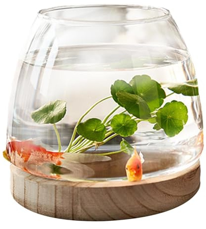 Ciotola per pesci in vetro trasparente con base in legno, piccola ciotola per pesci da tavolo per pesci d'oro Betta, vaso per fiori e piante idroponiche, terrario per piante idroponiche, decorazione