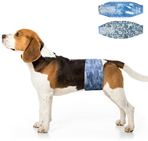 Dono Dog Diapers Male Disposable Male Dog Wraps, Wider Doggie Puppy Diapers, Male Belly Bands, Super Absorbent, Leak-Proof Fit, Excitable Urination, Incontinence, Medium 48ct