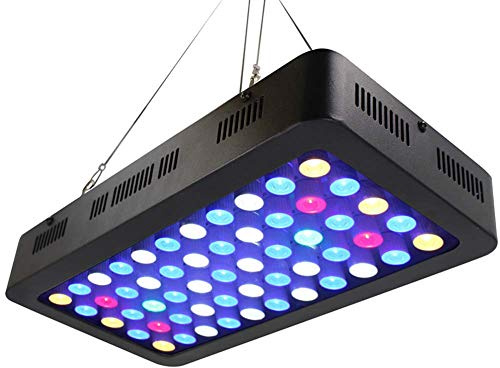 165 W LED akvarielampa, fullt spektrum dimbar LED korallljus, 2 omkopplare för saltvattenrev vit blå akvariebelysning marint rev tank