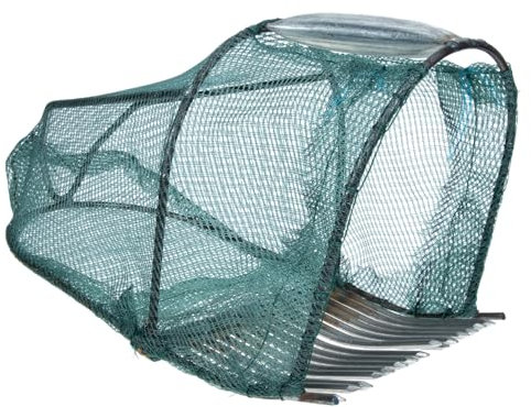 PAMINGONO Outils À Myrtilles Cueilleur De Fruits pour Le Jardinage Paniers À Myrtilles Peigne À Râteau Cueilleur De Baies Appareils À Myrtilles Outils Agricoles Ménagers Cueilleur De Fruits