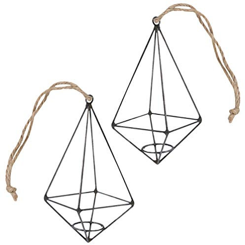 BESPORTBLE 2 Piezas Estante De Plantas De Aire De Pirámide Contenedores De Plantas De Aire Soporte De Pared para Plantas De Aire Jarrón De Plantas De Aire Planta De Aire Expositores Colgante