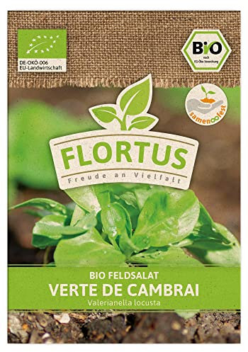 FLORTUS BIO Feldsalat Verte de Cambrai | Gemüsesamen | Salatsamen | Feldsalatsamen | Samen zur Anzucht für Garten, Balkon, Küche & Fensterbank