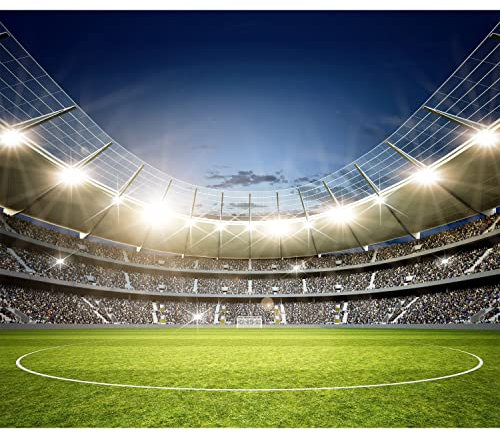 murando Fototapete selbstklebend Stadion 343x256cm Foto Tapete Tapetenfolie Möbelfolie Wandverkleidung Wandtapete Motivtapeten Bildtapete Wohnzimmer Schlafzimmer 3d Effekt Fussballstadion Fußball