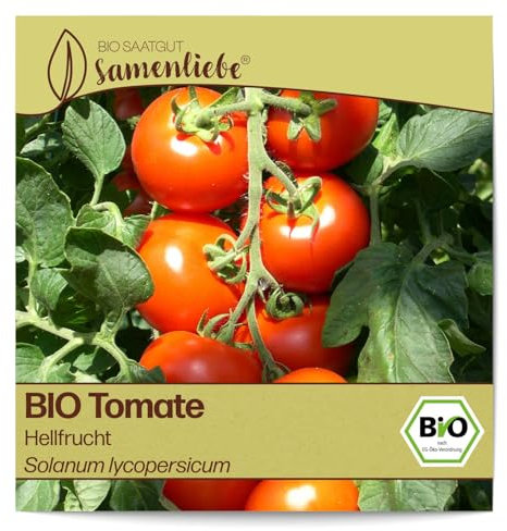 Samenliebe BIO Tomaten Samen alte Sorte Hellfrucht Freilandtomate rot 10 Samen samenfestes Gemüse Saatgut für Gewächshaus Freiland und Balkon BIO Gemüsesamen