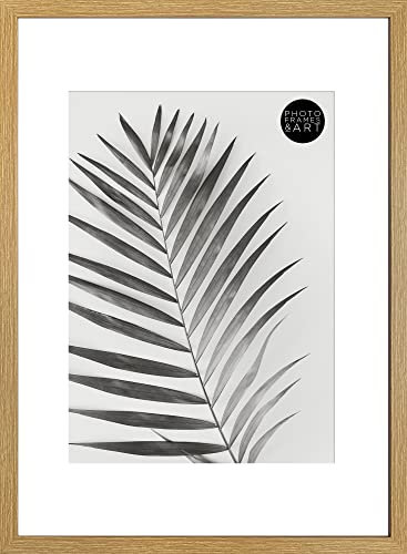 pf+a A2 Frame with Mount For A3 - Perspex - Oak Effect Frame For A3 Poster / A2 For A3 Oak Picture Photo Frame