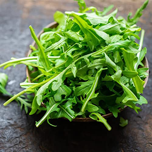 semi di rucola resistenti biologici, giardino da interno balcone decorazioni tappezzatura del 500pcs