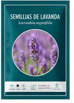 Lavanda para Jardín Mediterráneo en Semillas | DECOALIVE Planta Aromática Natural