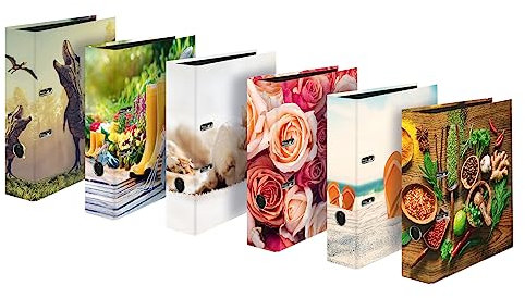 Original Falken 6er Pack Motiv-Ordner sortiert. Made in Germany. 8 cm breit DIN A4 verschiedene Motive Ringordner Aktenordner Briefordner Büroordner Plastikordner Motivordner