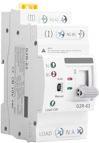 Jadeshay Interruptor de Transferencia Automática ATS 2P 63A AC220V, Conmutador Automático Doble Fuente de Alimentación Ininterrumpida Interruptor Selector Eléctrico para Uso Doméstico e Industrial