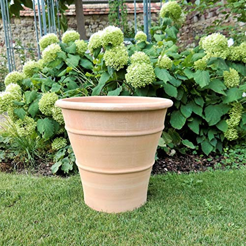 Palatina Werkstatt Pot de fleurs Yucca en terre cuite, 50 cm, 100 % fabriqué à la main, pièce unique, décorez votre maison avec le pot de fleurs résistant à l'hiver pour l'intérieur et l'extérieur