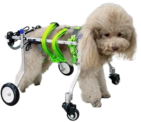 Chariot Chien Handicapé 4 Roues pour Chiens de Chien Soutien Complet, Chariot de Réhabilitation pour Animaux de Compagnie pour Les Pattes Arrière / Avant Handicapées, Outils de Support de Roulement de
