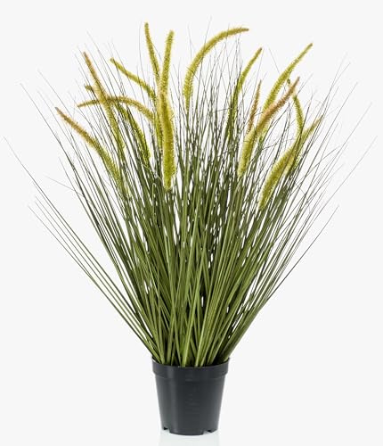 artplants.de Konstgräs Foxtail Grass CAREL med ax, grönt, 70 cm