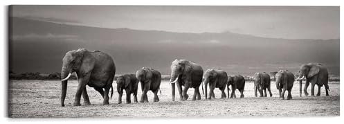 REINDERS Wandbild, Elefantenparade, Wohnzimmer, Wandbild, Wanddeko, Room Decor, MDF, Schwarz-Weiß, 40 x 118
