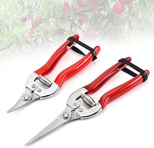 Paquete de 2 Tijeras de Podar de Jardín Con Hoja Afilada de Acero Inoxidable - Rectas para Flores y Plantas, Curvas para Ramas de Frutas y Verduras