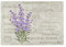 Tischsets Abwaschbar 4er Set Lavendel Blumen., Platzsets Hitzebeständig Tischmatten für küche Speisetisch Hotel, Platz-Matten 45,7 x 30,5 cm