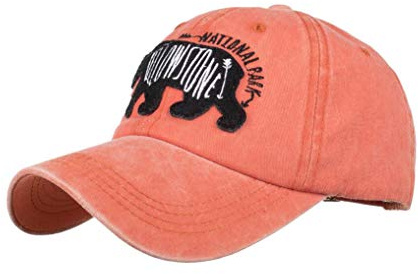 XibeiTrade Moda Oso Bordado Gorra de Béisbol Hombres Mujeres Algodón al aire libre Senderismo Bicicleta Golf
