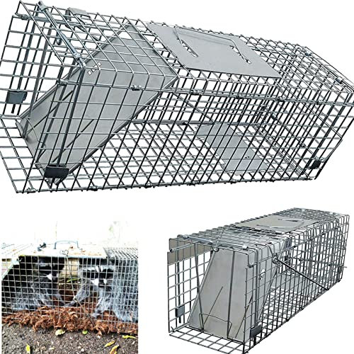 Wire Cage Humane Animal Trap Large Rodent Rat Pest Cage Trap, Easy Trap Catch & Release Live Catch Rat Trap Humane Mouse Trap Cage with 1-Door, 24 x 7.5 x 8.3 inch, Reusable and Easy to Clean