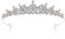 Corona di Cristallo Nuziale, Corona con Strass,Strass Matrimonio Compleanno Diadema,Squisito e Affascinante Corona Di Cristallo,Accessori Per Princess Compleanno Parties Crown(Argento)