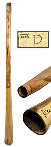 Didgeridoo Eucalyptus Proline, incl Bag 59-63 inch … (Tone D)