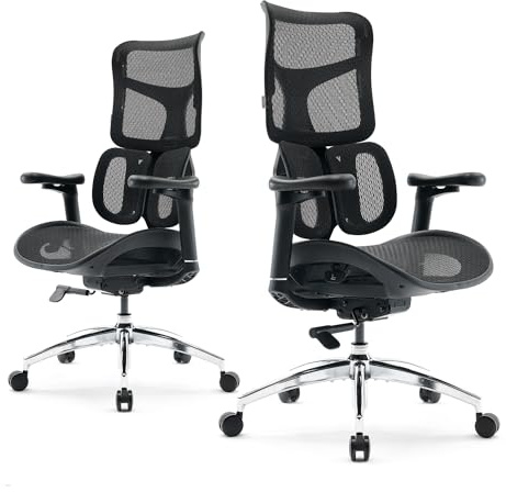 SIHOO Silla ergonómica de Oficina Doro S100 - con Soporte Lumbar dinámico Dual, Respaldo Ajustable en 5 Niveles, reposabrazos coordinados en 4D Adecuada para la Oficina en casa (S100 Negro)