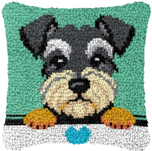 YOOTOM Kit de almohada de gancho de pestillo,Kit de cojines pequeños, kit de fundas para cojines,Lienzo de color preimpreso,43x43cm