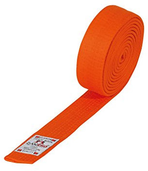 Danrho Taekwondo Judo Ju Jutsu Karate Gürtel 4 cm einfarbig
