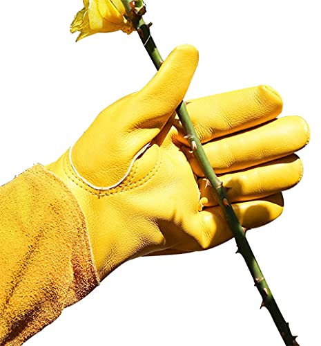 CcHhyyt Dornenfest Stichfeste Rindsleder Gartenarbeitshandschuhe mit Unterarmschutz Rosen Arbeitshandschuhe für Gärtner Leder Gartenhandschuhe Damen Herren Bauern Beschneiden von Dornenzweigen