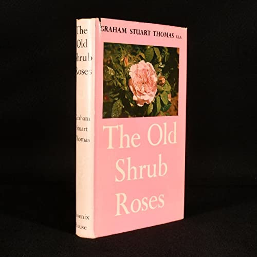 The Old Shrub Roses