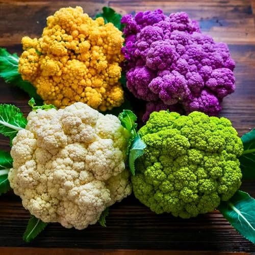 blumenkohl samen, winterblumenkohl alte gemüsesorten samen, seltene pflanzen blumenkohlsamen winterharte pflanzen für garten, pflanzenanzucht pflanzensamen, gemüsesamen alte sorten 150pcs