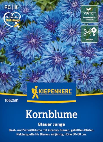 Kiepenkerl Kornblumensamen Blauer Junge 1062591, Blumensaat