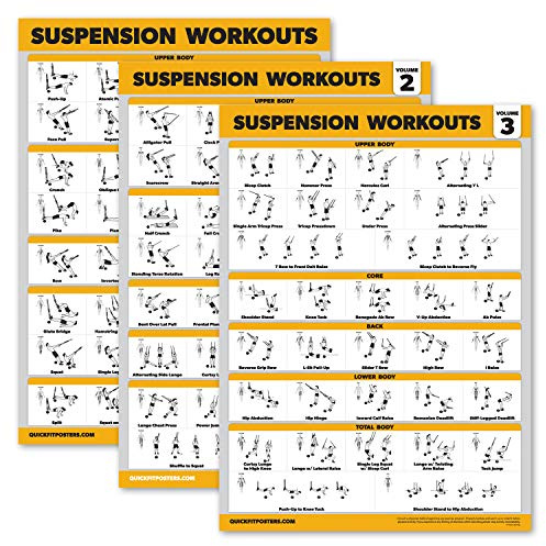 Palace Learning Paquete de 3 pósteres de entrenamiento en suspensión, volumen 1, 2 y 3, gráficos de ejercicios (laminados, 18 x 24 pulgadas)