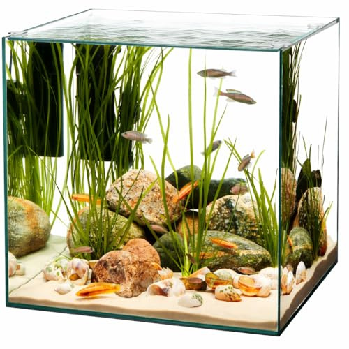 AquariumLine Cube – Acquario Cubico in Vetro Float per Acqua Dolce – Varie Misure 20-30 - 40 – Design Minimal Vasca Senza Cornici per Nano Acquari, Piante,Caridine e Aquascaping (25x25x30H)