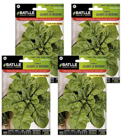 Semillas de espinaca invierno gigante de Semillas Batlle PACK (4)