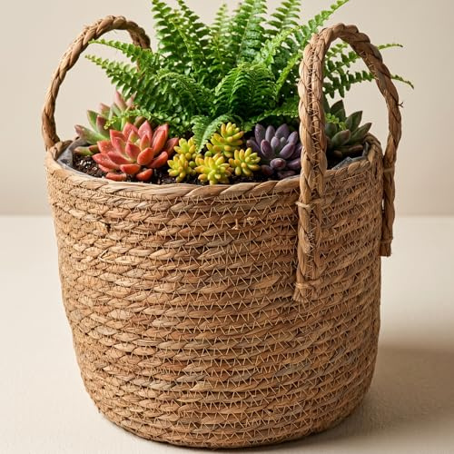 Baluue Cesta de Plantas Macetas de Interior Tejidas de 28cm Cesta de Paja Tejida a Mano con Forro Impermeable, Maceta Rústica Estilo Boho para Hogar, Salón y Oficina