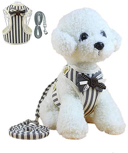 Hundegeschirr Katzenleine Hundegeschirr für mittlere Hunde Welpengeschirr für kleine Hunde Hundehalfter, um Nicht mehr an der Leine zu ziehen Gray,M