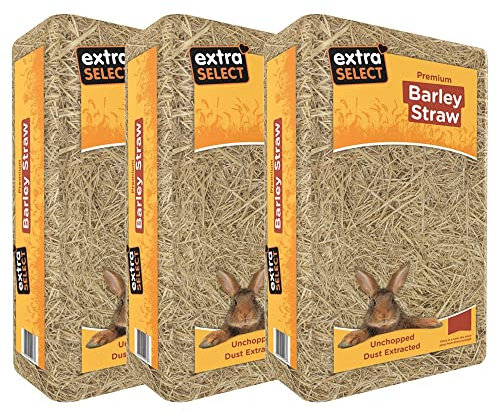 Extra Select Barley Straw Bedding - Soft Animal Bedding for Rabbit, Tortoise, and More - 2 kg (Pack of 3)