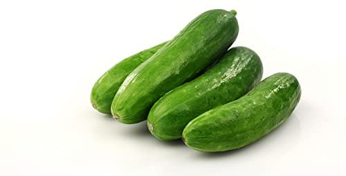 Cucumber Plants, 'Petita', 6 x Plug Plant Pack, Vegetable Plants, Mini Cucumber, Garden Ready and Ready to Plant, Premium Quality Cucumbers