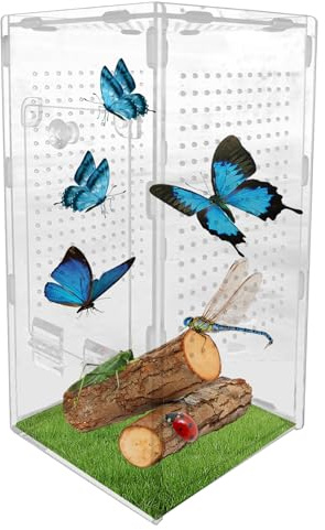 YRTUOP Terrario para Arañas Saltarinas | Terrario de Acrílico para Mantis y Arañas Saltarinas,Hábitat con Ventilación para Mantis, Casa de Reptiles para Tarántulas y Observación de Lagartos