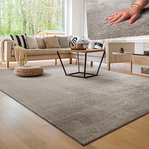 Paco Home Moderner Kuscheliger Wohnzimmer Teppich Kurzflor waschbar flauschig Weich Einfarbig Felloptik zeitlos stilvoll rutschfest pflegeleicht, Grösse:160x220 cm, Farbe:Grau