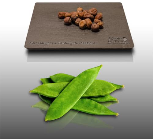 75 grammes de graines à semer - Le Grenier d'Abondance - POIS Gourmands Carouby de Maussane - Pisum sativum