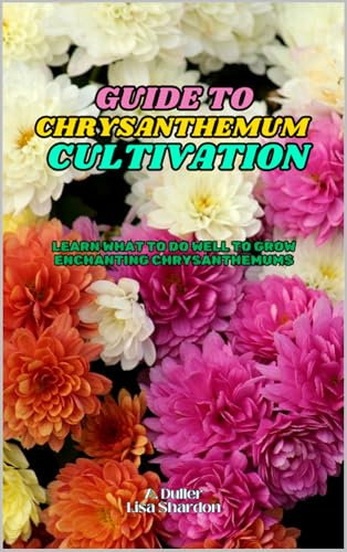 Guide to Chrysanthemum Cultivation: Learn what to do well to grow enchanting Chrysanthemums