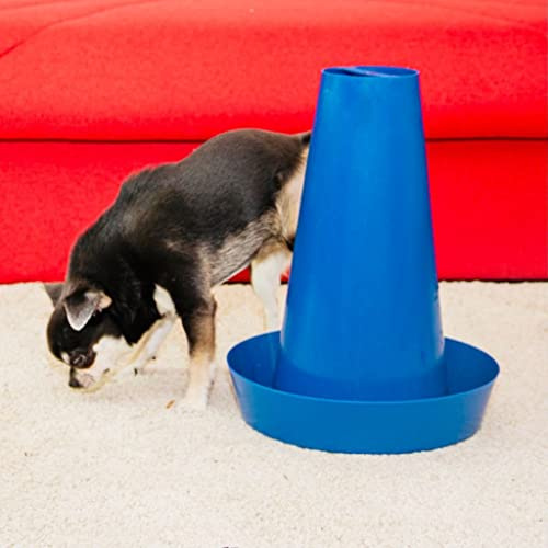 PIPPi WC per Cani Maschi – Vasino per Cani da Interno ed Esterno – Colonna Orinatoio Lavabile – Alternativa alla Traversina Confezione da 1 Blu