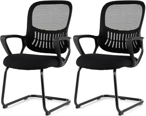COSTWAY Freischwinger Stühle 2er Set, Konferenzstühle mit Armlehne & Lendenwirbelstütze, Schwingstühle, Bürostühle, Besucherstühle für Büro, Konferenzraum, Arbeitszimmer