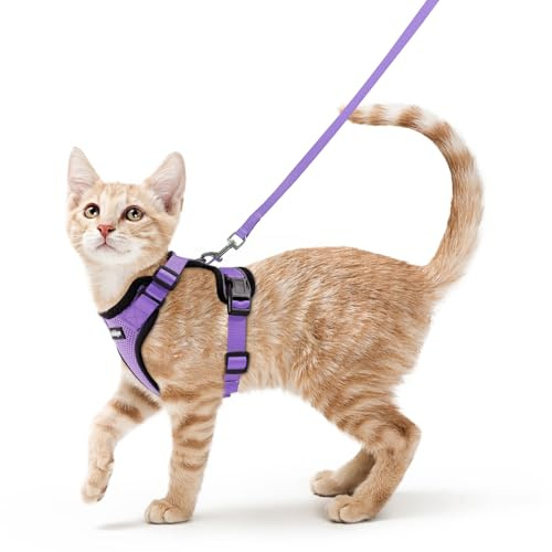 rabbitgoo Harnais Chat Anti évasion avec Laisse Violet Clair XS, Harnais Chaton Petit Chien Réglable, Collier Harnais et Laisses pour Chat Refléchissant Attache Dessus Gilet Respirant pour Chiot