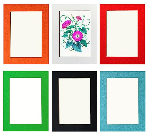 Cadre Photo 13 x 18 cm,Lot de 6 Cadre Photos pour Collage Photo Décoration Mural,Cadres en Carton,Livré Avec un Film Plastique Transparent,Multicolores,Installation Autocollante,Aans Clous Nécessaires
