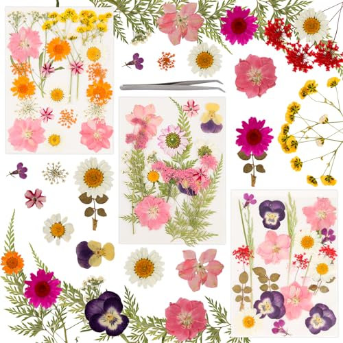 63 Stück Getrocknete Blumen, Natürliche Gepresste Blumen, DIY Getrocknete Blüten, Gemischte Getrocknete Blätter Gänseblümchen für DIY Kerzen, Harz Schmuck, Nagel Anhänger