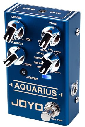 JOYO Digital Delay Effektpedal mit Looper (5 Minuten) R Series 8 Digital Delay Effekte für E-Gitarre (Aquarius R-07)