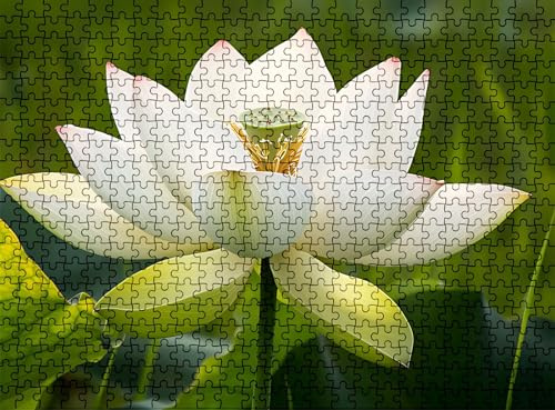 Pussel 1 000 delar, träpussel vuxna lotusväxt impossibla klassiska jigsaw pussel 75 x 50 cm, familjespel, pussel stressminskning tankespel, pusselälskare w0-259