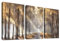 3 Pcs Sonniger Waldbaum Mit Rahmen Leinwand Bilder Abstrakte braune Wälder Bild auf Leinwand Malerei Poster Wandbilder Wanddeko Gaststätte Wohnzimmer Schlafzimmer Dekorationen 90x40cm (12x16x3pcs)